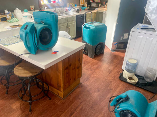 Water damage restoration mold remediation in Hatboro, PA