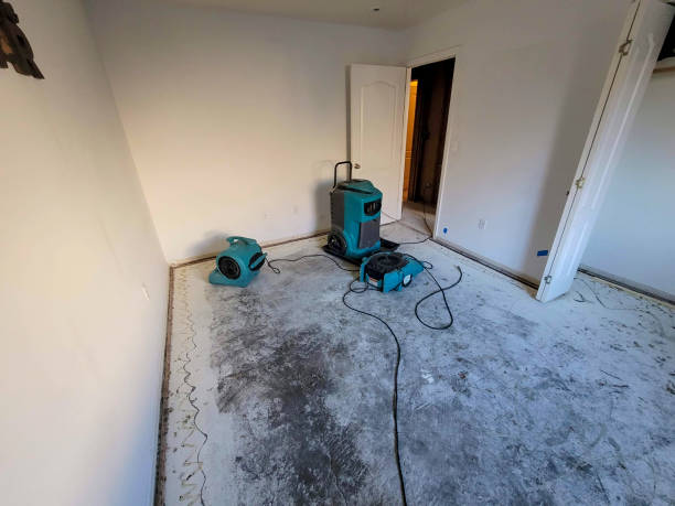 Best 24/7 water damage repair  in Hatboro, PA