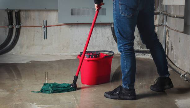 Best Water damage cleanup near me  in Hatboro, PA